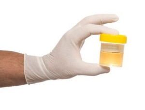 affordable drug testing for small to medium sized businesses