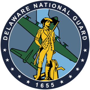 DE-NAT-GUARD